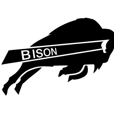 Bison